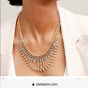 Stella and dot necklace